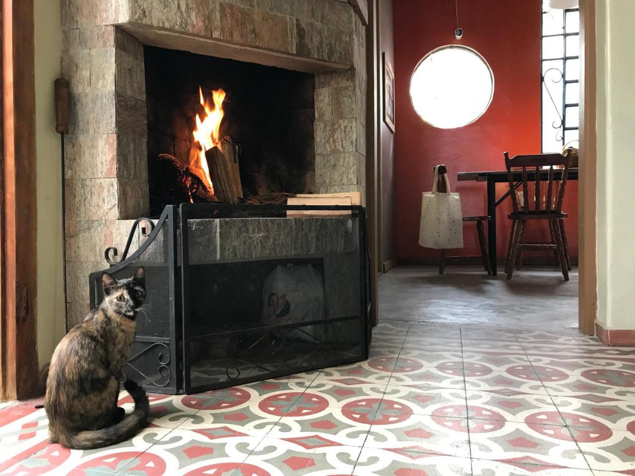 Frida Casa Hostel ペロタス エクステリア 写真
