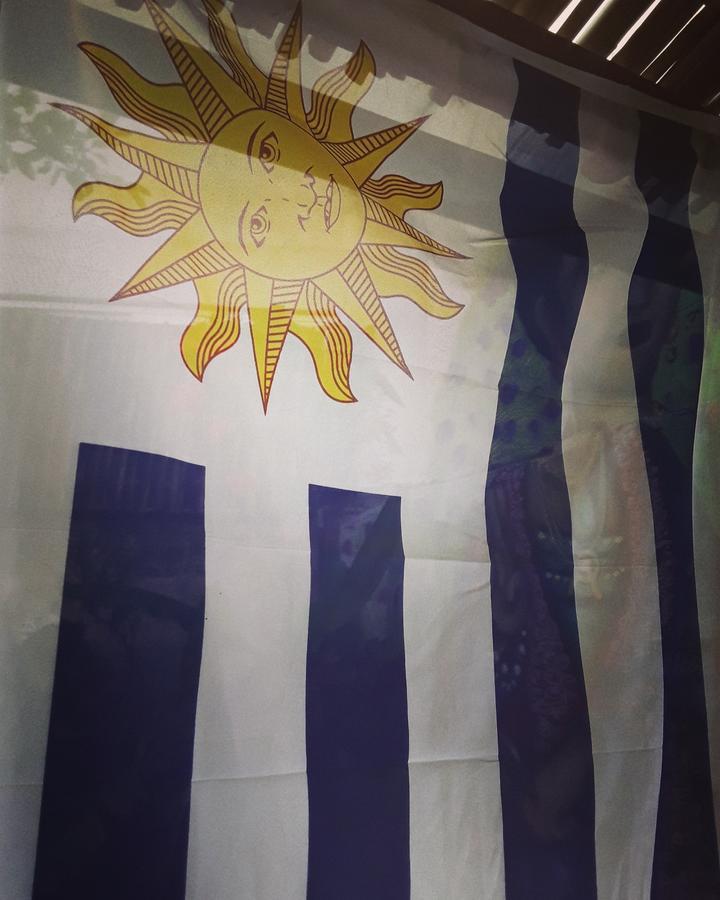 Frida Casa Hostel ペロタス エクステリア 写真