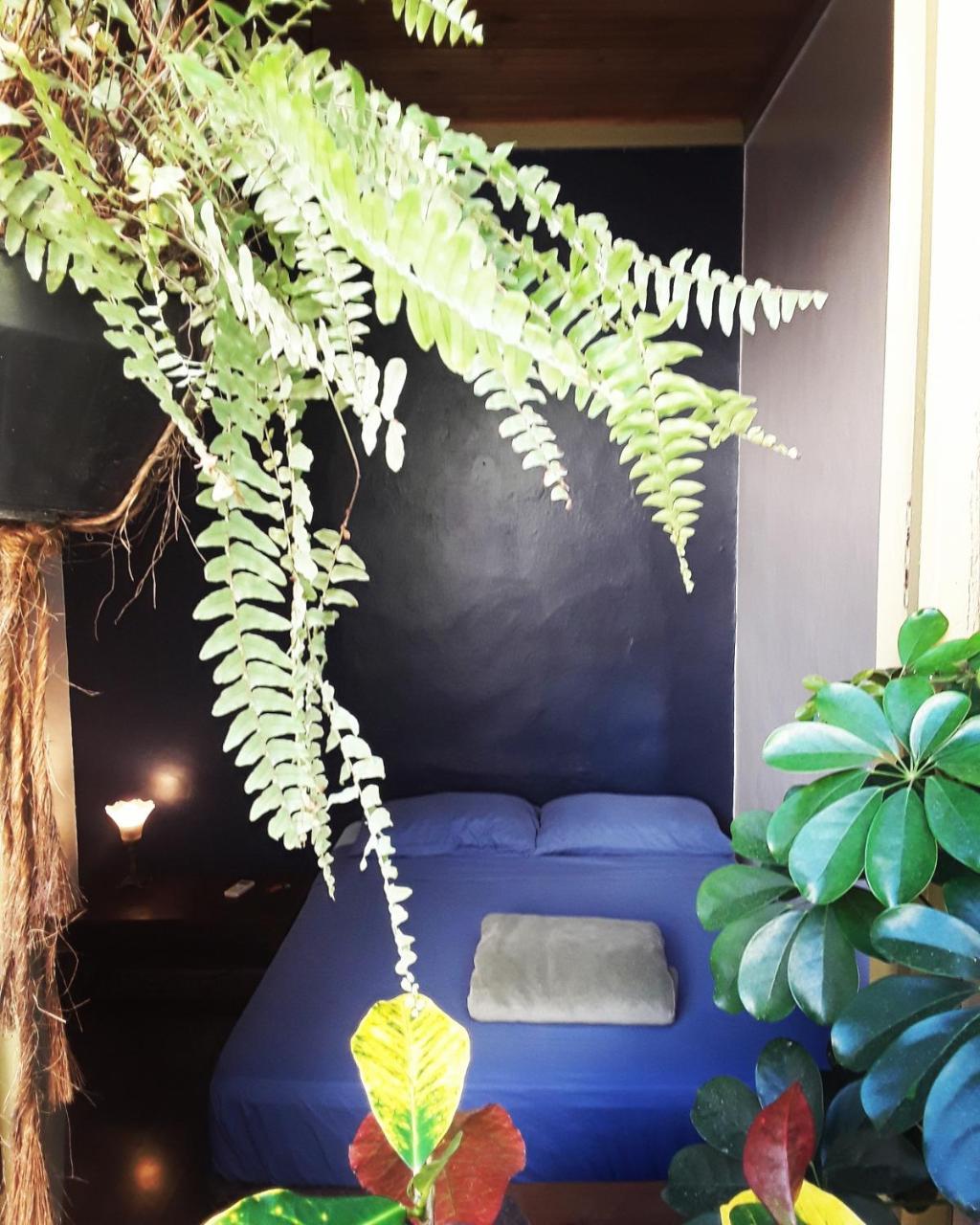 Frida Casa Hostel ペロタス エクステリア 写真