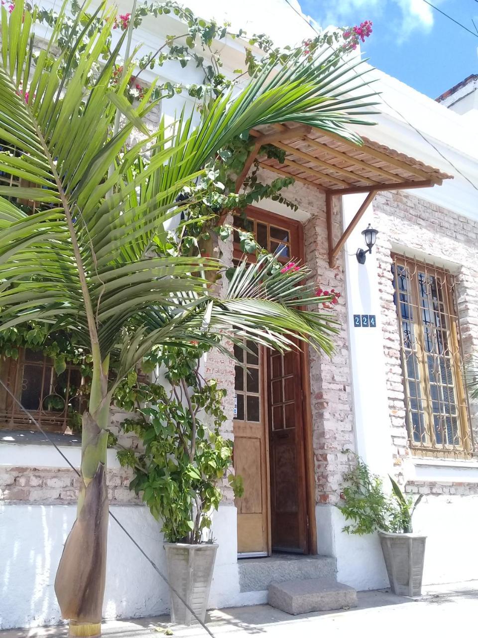 Frida Casa Hostel ペロタス エクステリア 写真